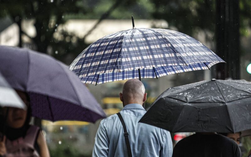 SP: Chuva, ventos fortes e queda de árvores deixam 900 mil sem energia