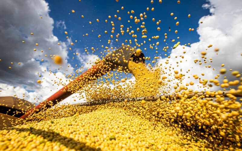 Valor da produção agrícola brasileira recua 3,9% em 2024, mostra IBGE