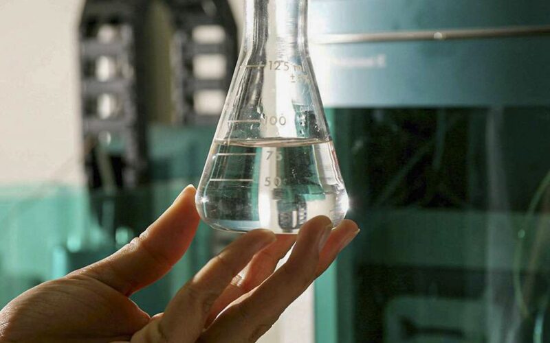 Bares e fabricantes treinam empresas para identificar bebidas falsas
