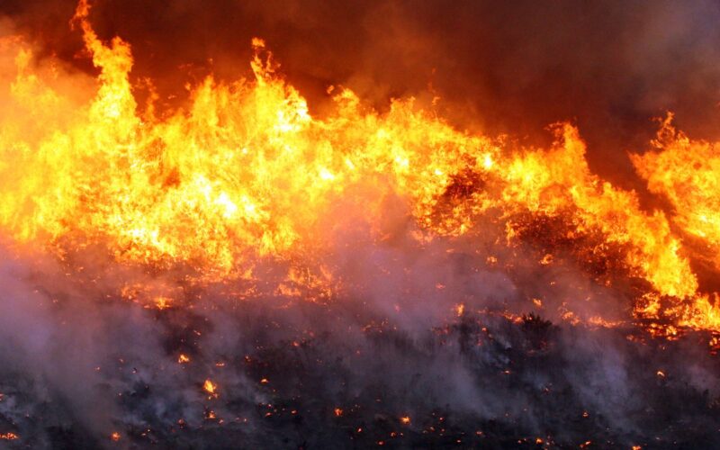 Brigadistas combatem incêndio em Cavalcante, Goiás