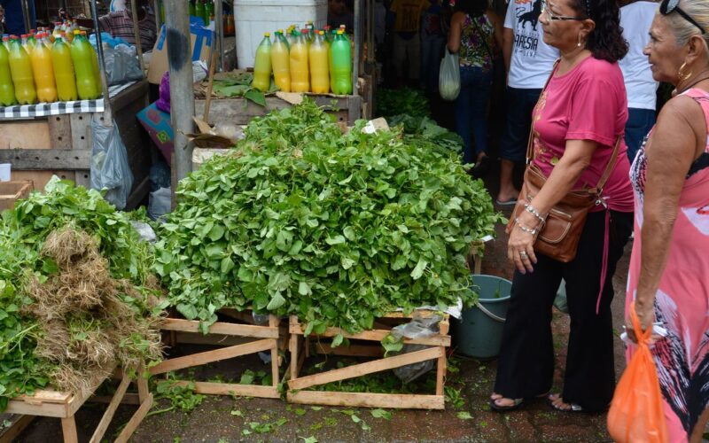 Mercado do Povo levará mercados modulares a pequenas cidades