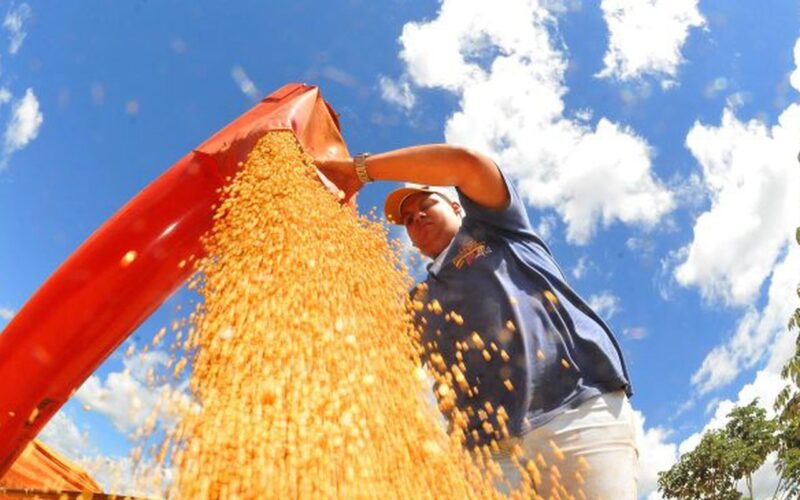 Agropecuária ajudou oito estados a crescerem mais que o Brasil em 2023