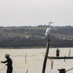 Gestão do seguro-defeso passa oficialmente ao Ministério do Trabalho