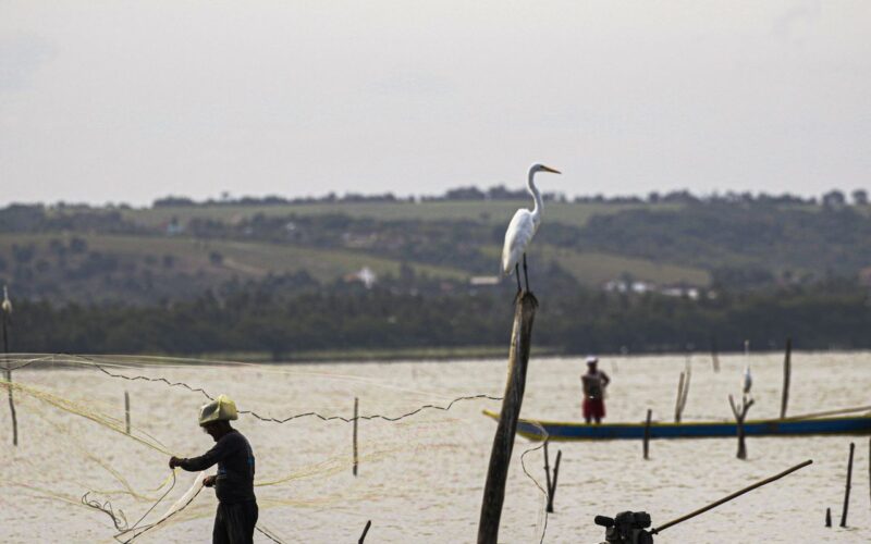 Gestão do seguro-defeso passa oficialmente ao Ministério do Trabalho