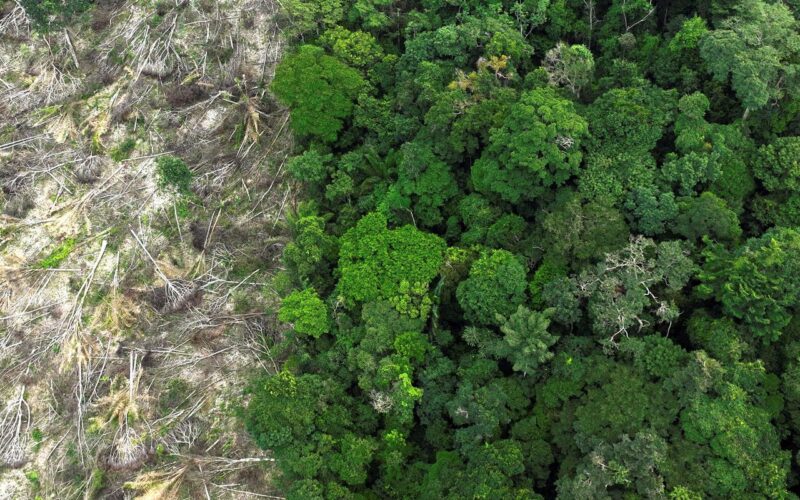 Municípios gastaram R$ 732 bilhões com desastres entre 2013 e 2024