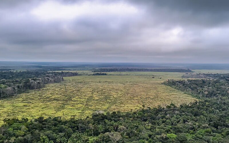 STF suspende todos os processos do país sobre Moratória da Soja 