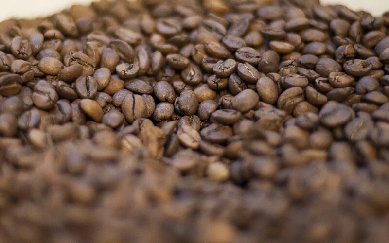 Trump diz que reduzirá tarifas para importação de café